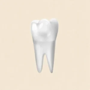 Endodoncia Premolares