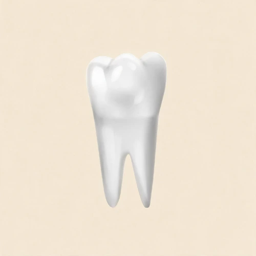 Endodoncia Premolares