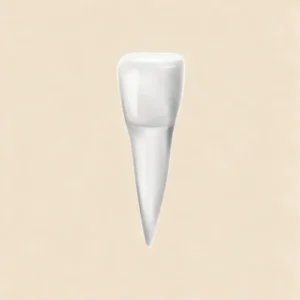 Endodoncia Anteriores