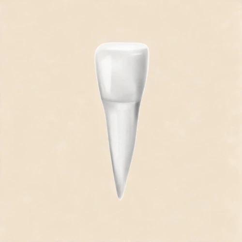 Endodoncia Anteriores